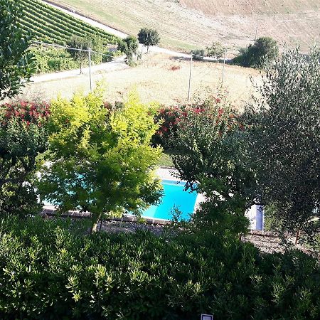 Bed and Breakfast La Casa In Campagna Cossignano Zewnętrze zdjęcie