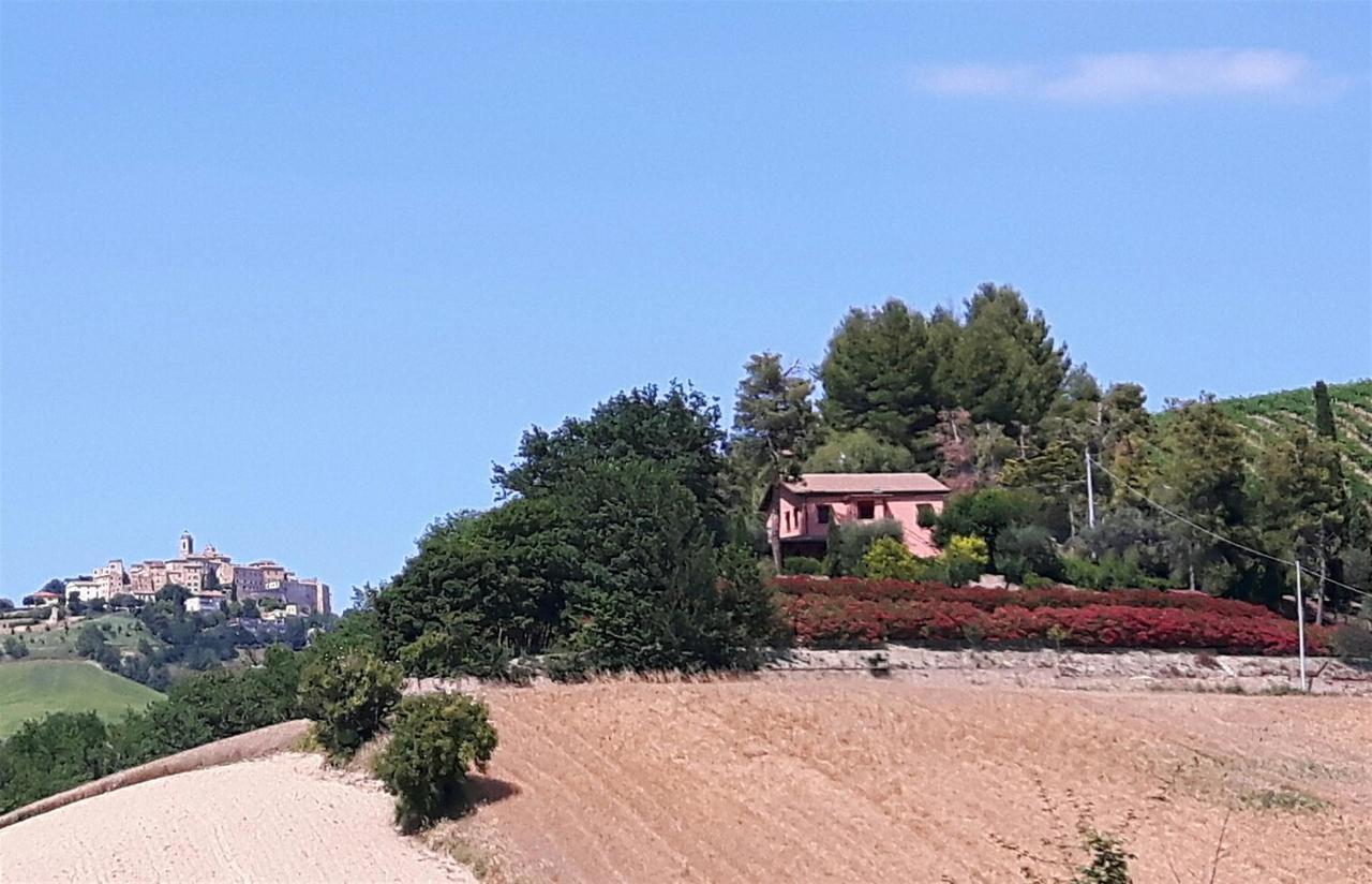 Bed and Breakfast La Casa In Campagna Cossignano Zewnętrze zdjęcie
