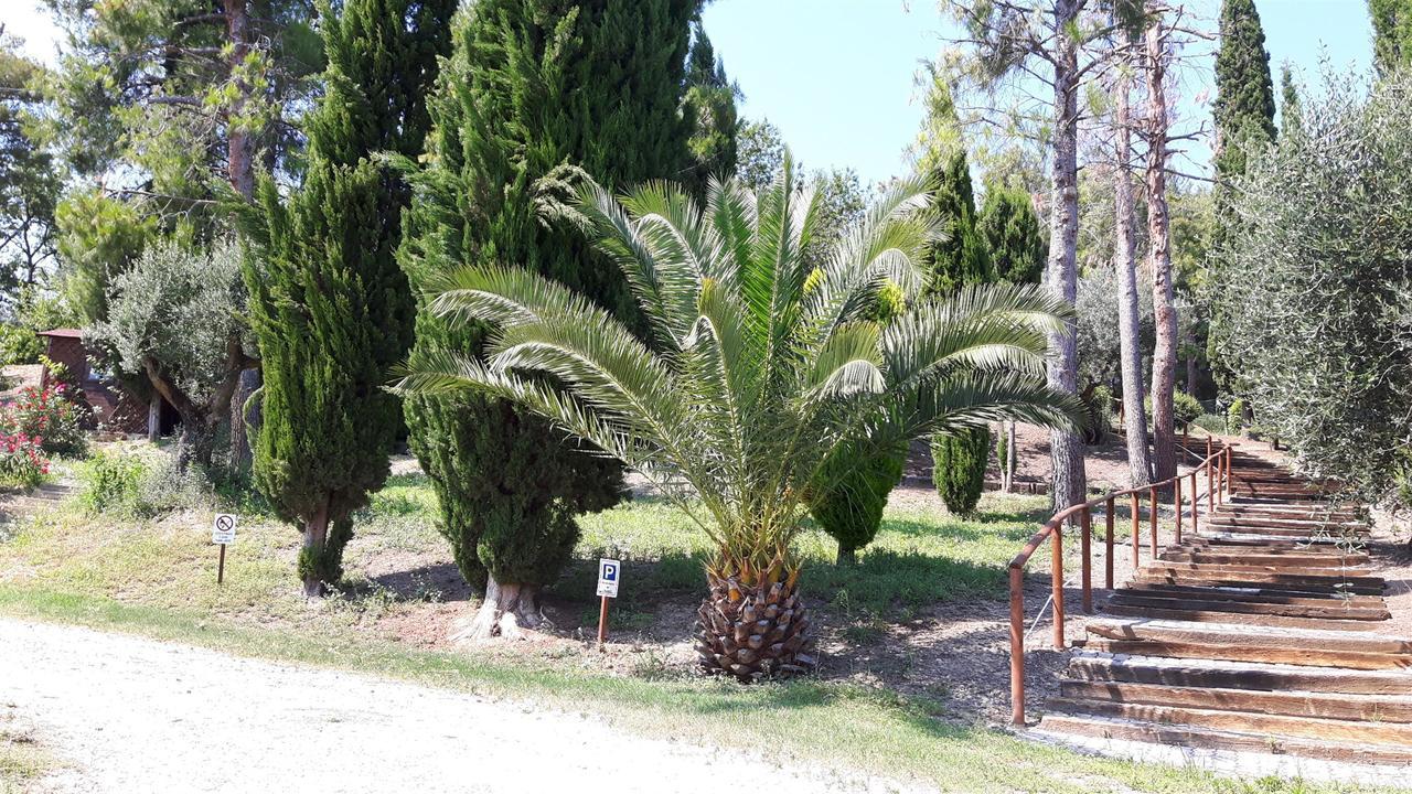 Bed and Breakfast La Casa In Campagna Cossignano Zewnętrze zdjęcie